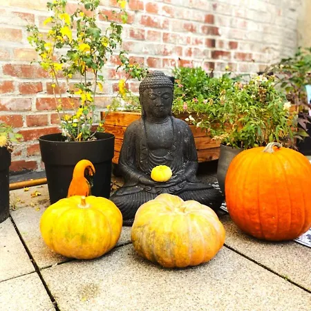 #511 Traumhaus Mit Whirlpool Am Schwarzwaldrand